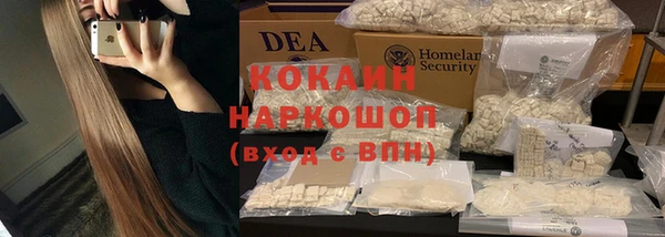 дмт Арсеньев