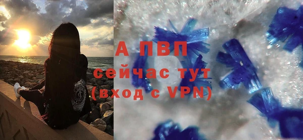 сатива Аркадак
