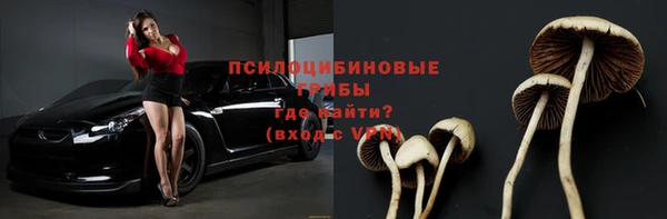 гидра Армянск
