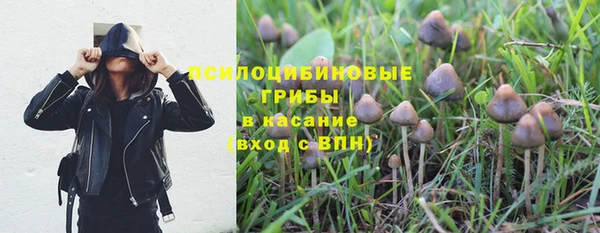 гидра Армянск