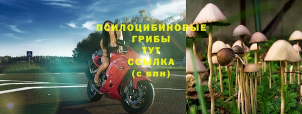 гидра Армянск