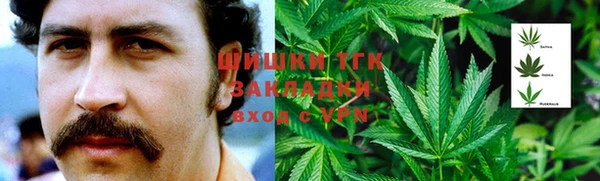 сатива Аркадак