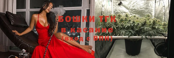 сатива Аркадак