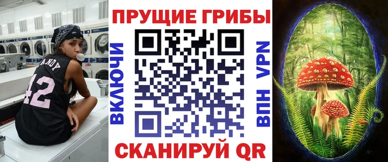 даркнет формула  Рузаевка  Галлюциногенные грибы Psilocybe 